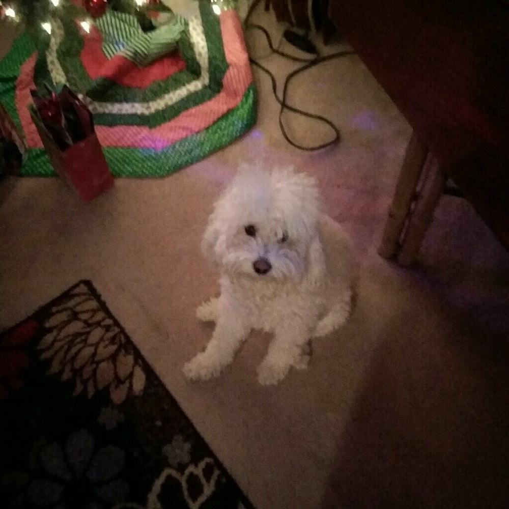 Meet your Posher, Marianne